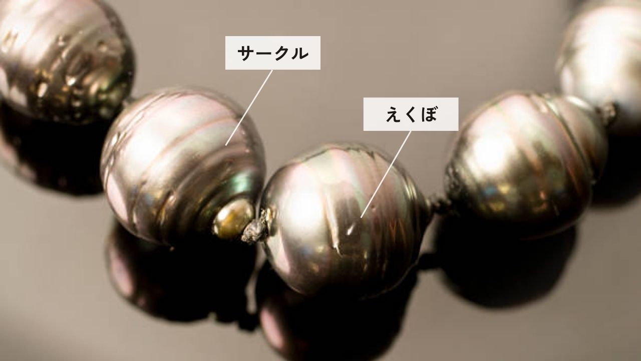 タヒチアンパールの「サークル」と「えくぼ」