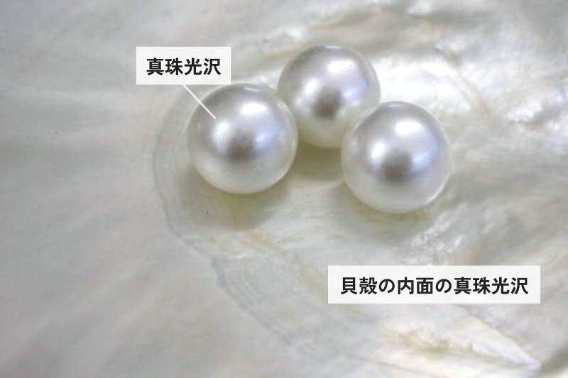 真珠層を持つ真珠の定義