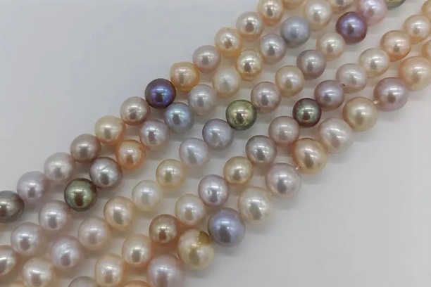 淡水真珠(Freshwater Cultured Pearl)