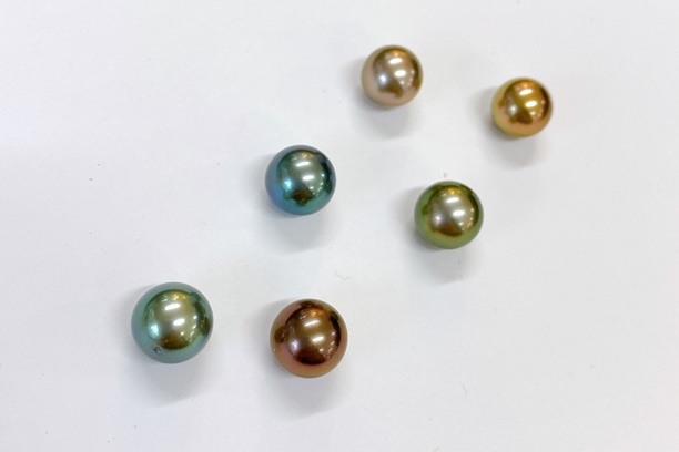 黒蝶真珠(Tahitian Cultured Pearl)