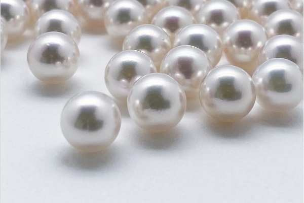 アコヤ真珠(Akoya Cultured Pearl)